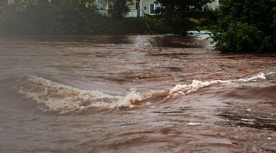 Why choose Ontario Property Rescue for water damage restoration in Toronto